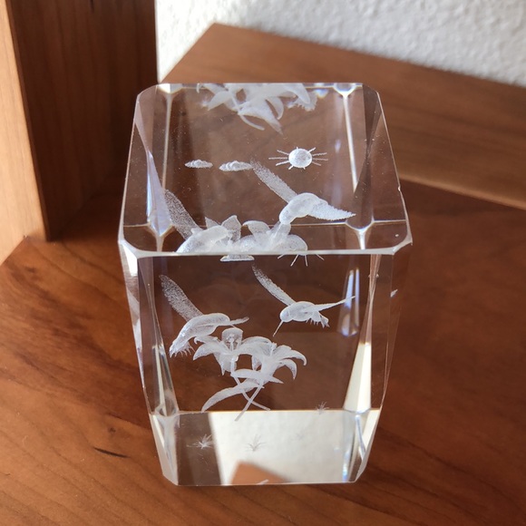 Paperweight 3D Hummingbirds Laser Etched Crystal Block EUC - Picture 2 of 6